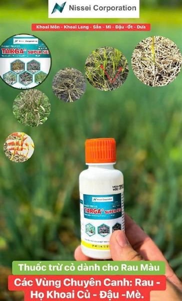 Thuốc trừ cỏ trên rẫy targa super 5ec 100ml