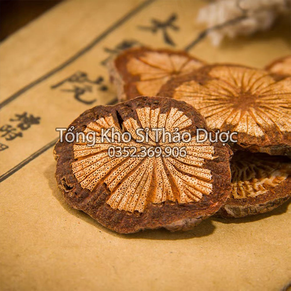 Cỏ kha cúc sấy khô 100g (cây kha cúc)
