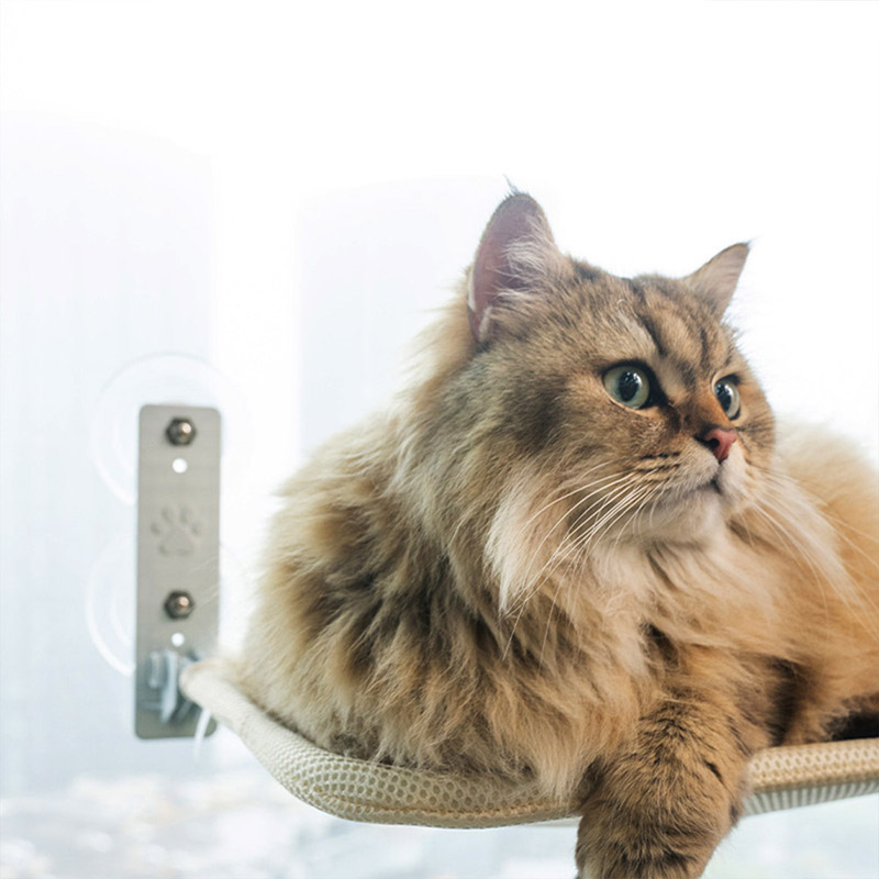 Foldable cat hammock cat litter Cat supplies Power suction cup Cat hanging windows