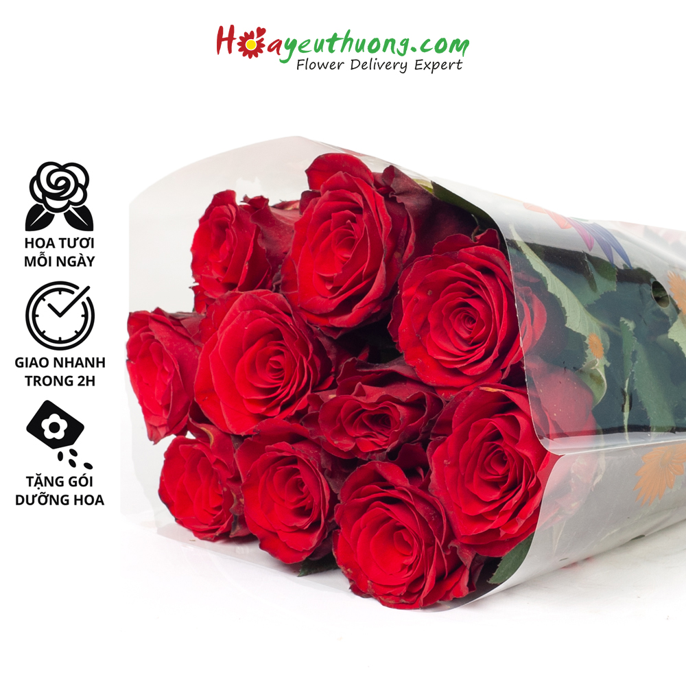 Hoa Hồng Đỏ Ecuador ĐL Hoayeuthuong - hoa tươi Đà Lạt trang trí nhà cửa, văn phòng thumbnail