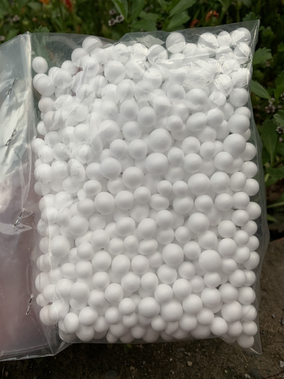 1GÓI HẠT XỐP CÂU LANCE