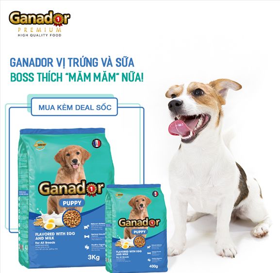 Thức Ăn Chó Ganado PP Trứng Sữa Túi 400g