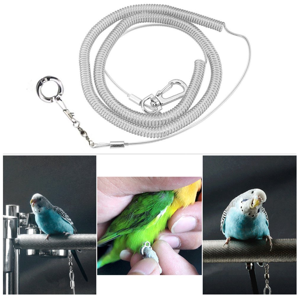 Bird Chain 【EleganceEssence】Alloy Leg Ring Flexible Bird Chain Belt Anti Bite ...