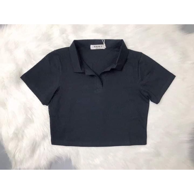 Áo Croptop Nữ Tay Ngắn Có Cổ polo Form Rộng Polo Phông Cổ Bẻ