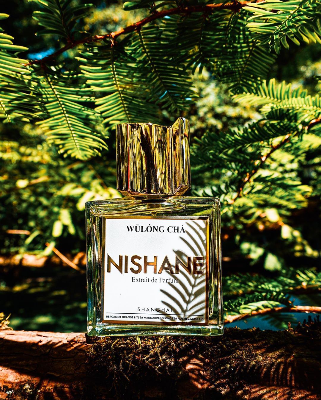 Nước hoa Unisex - Nishane Wulong Cha Extrait De Parfum
