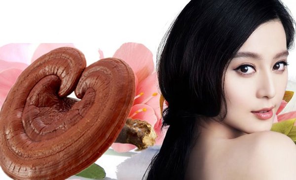 Nấm Linh chi u hắc 영지 버섯 Hàn Quốc (Loại 8 lá 1kg) mới