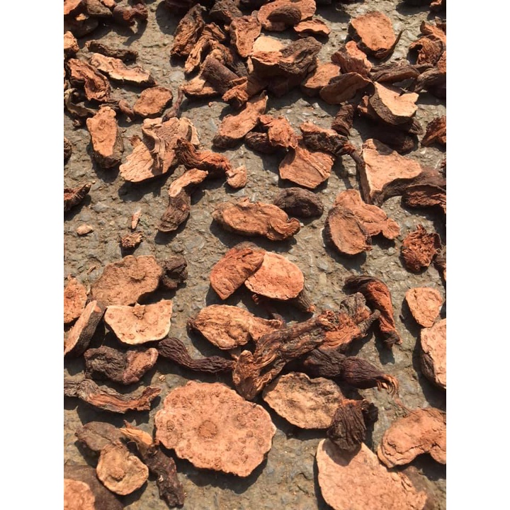 hà thủ ô đỏ khô 1Kg