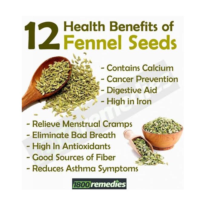 Fennel Seeds 100 Grams Lazada PH