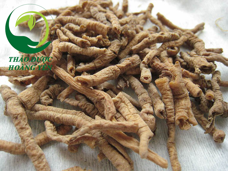 viễn chí khô thơm sạch