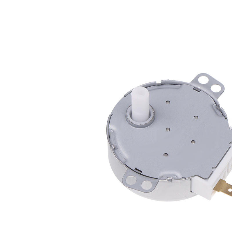 SS-5-240-TD 220/240V 4W 5RPM Micro Synchronous Motor For Warm Air Blower 50Hz Microwave Oven Tray Motor. 