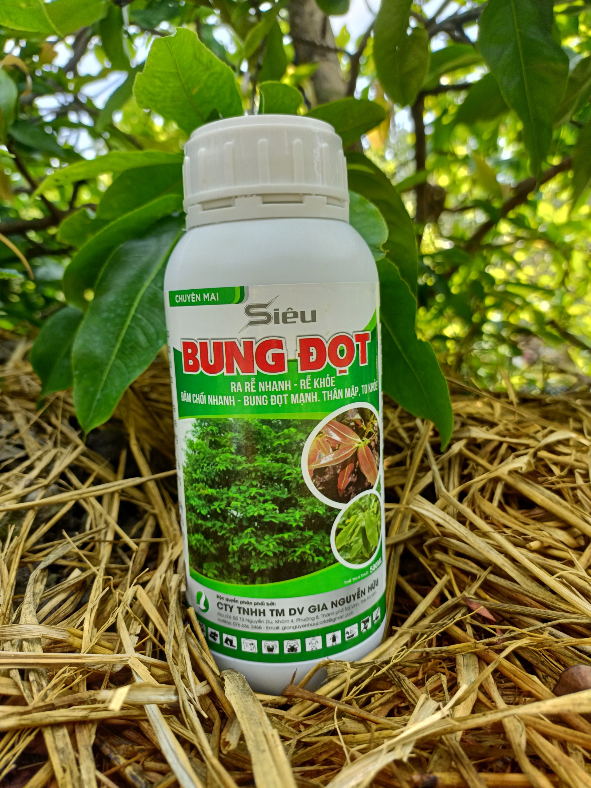 RA RỄ NHANH ĐÂM CHỒI MẠNH - siêu bung đọt 500ml