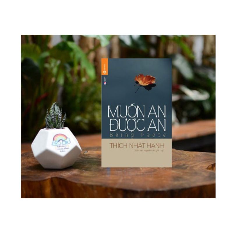 Sách - Muốn An Được An (Tái Bản)