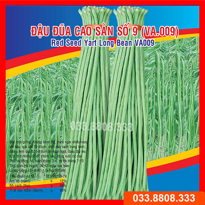 Hạt Giống Đậu Đũa 20gram -Năng Suất Cao