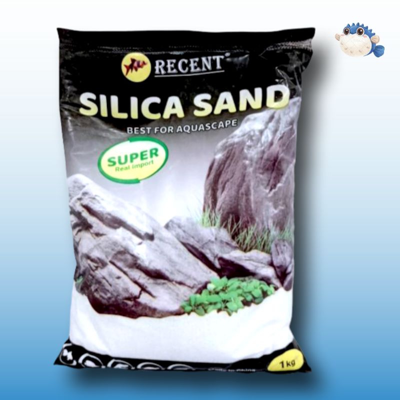 Pasir aquarium aquascape pasir SILICA RECENT 1 KG