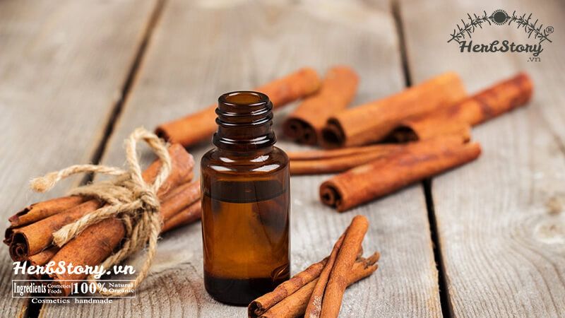 Tinh dầu vỏ quế 100% nguyên chất loại 10ml