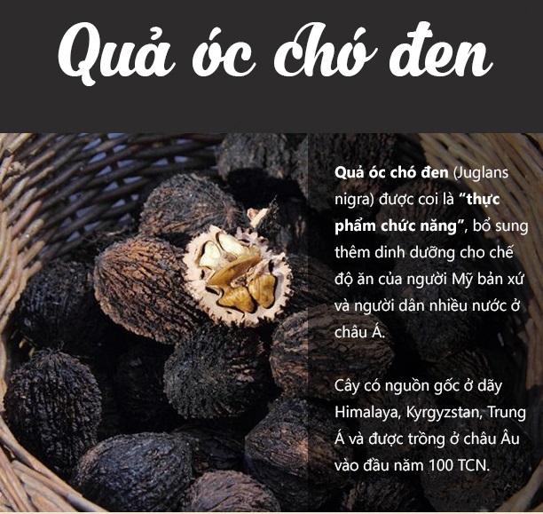 Viên uống quả Óc Chó Đen Swanson Black Walnut Hulls
