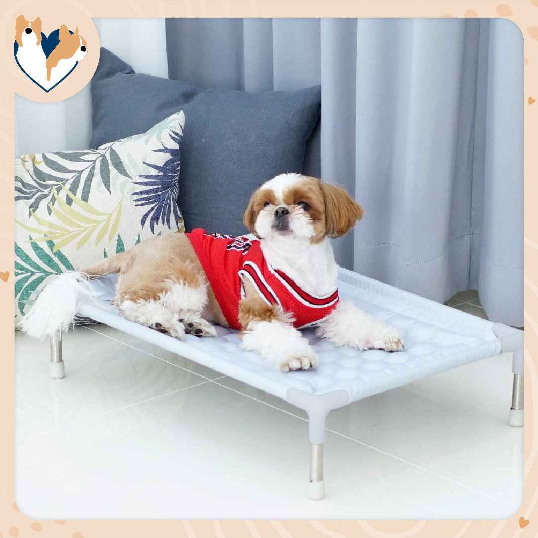 Petplay cooling mat Clearance