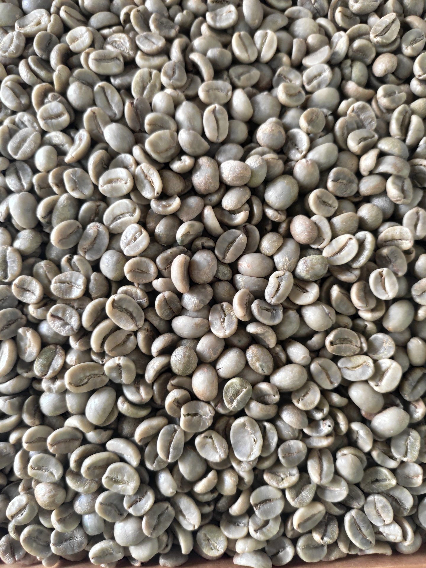 AFE robusta ARABICA nhân 500g ( hạt sống)