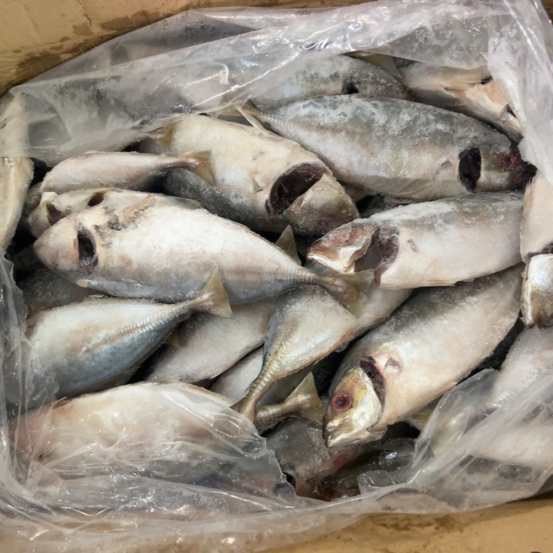 Cá ngân đông lạnh - Túi 1Kg (giao tphcm)