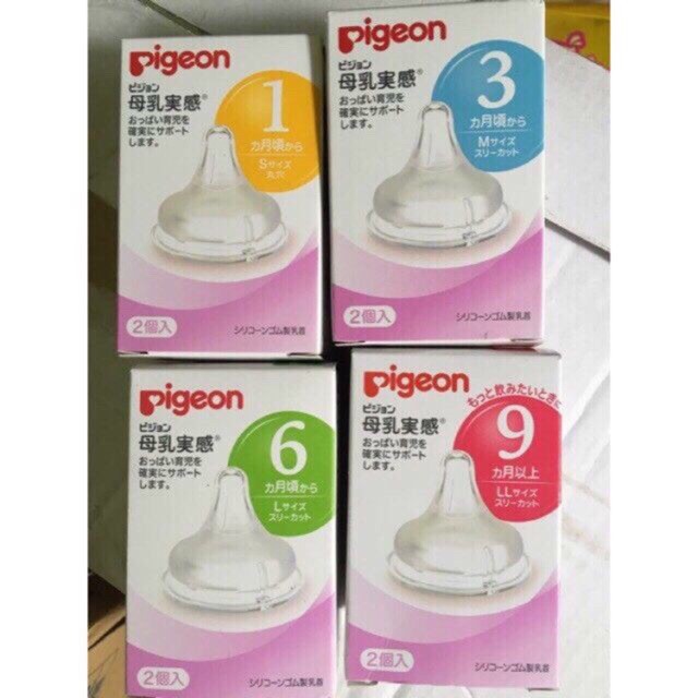 Núm ti Pigeon nội địa cổ rộng đủ size S,M,L,LL