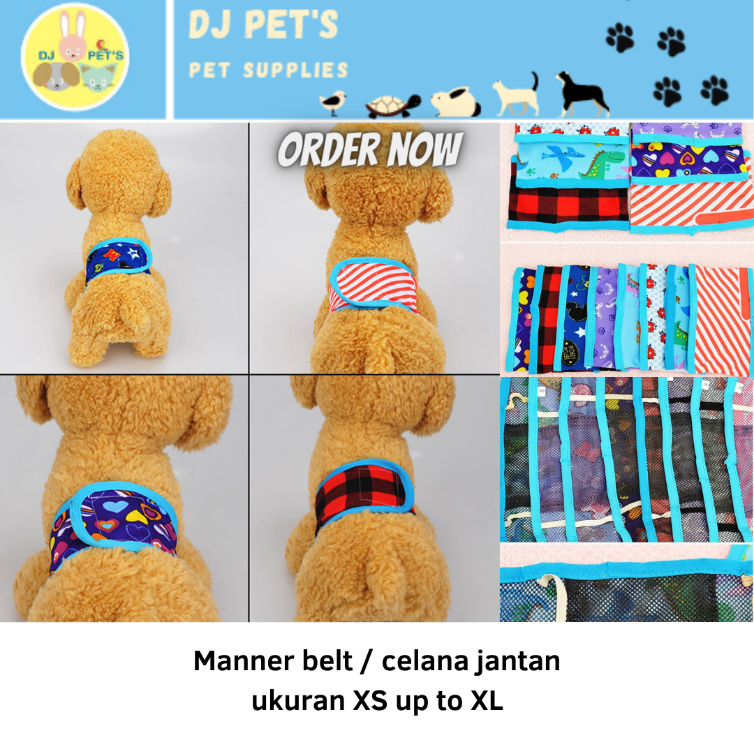 Manner best sale belt dog