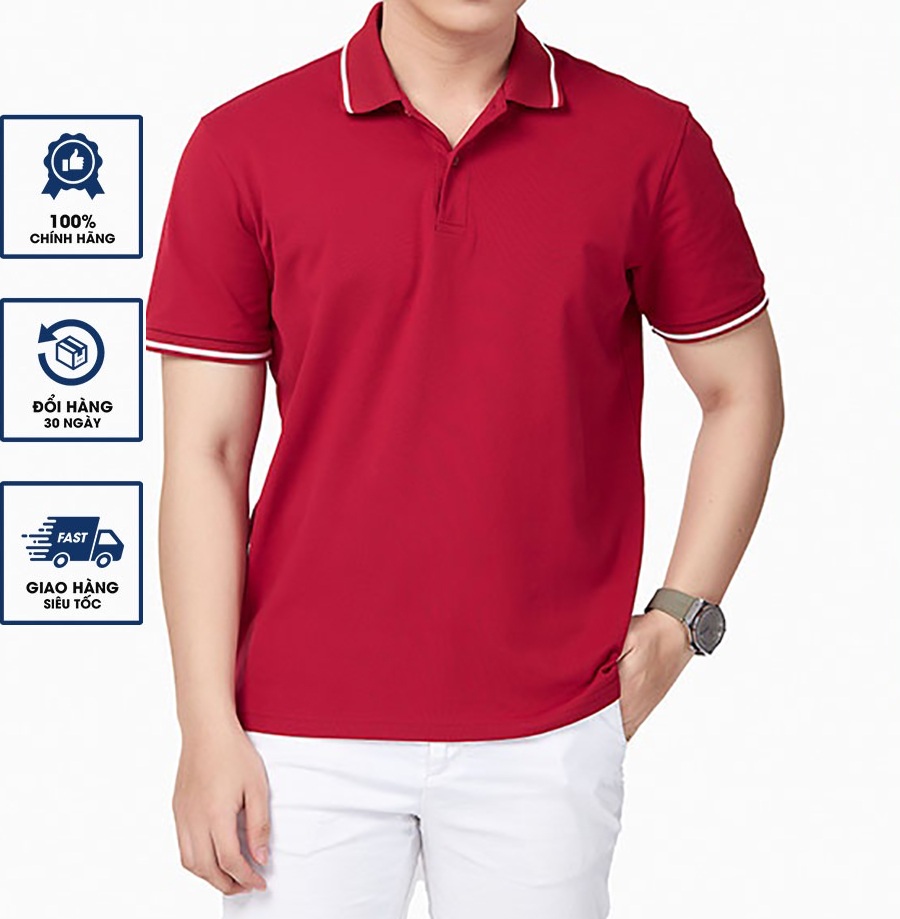 Áo thun nam POLO PHỐI VIỀN vải thun cotton 4 chiều co dãn mịn mát sang trọng lịch lãm-PLOVIEN212
