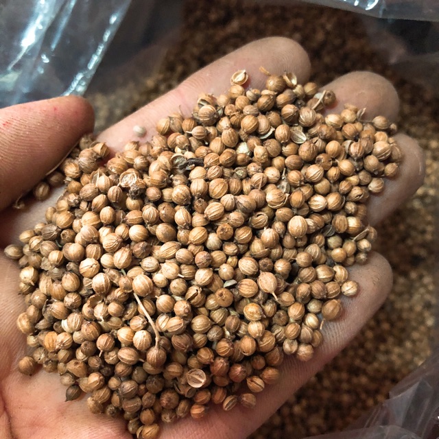 Hạt mùi ta (Hạt ngò) 100g - Aminoshi