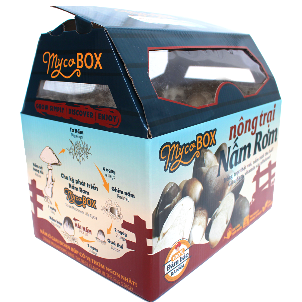 MycoBOX - Combo 2 Nông Trại Nấm Rơm