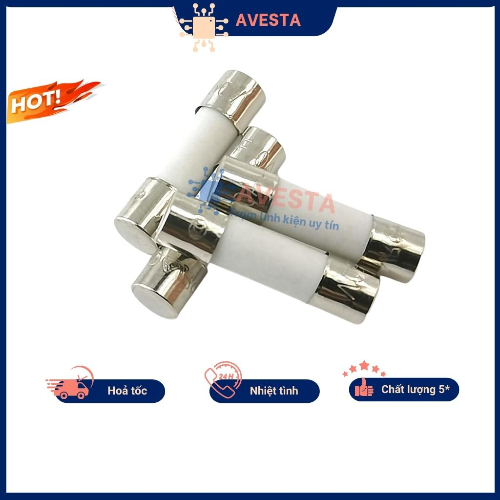 Cầu chì sứ 5x20mm 6x30mm 1a 2a 3a 4a 5a 6a 8a 10a 12a 15a 20a túi 10 con avesta