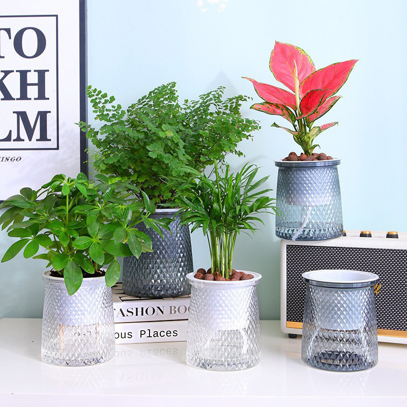 Self%20Watering%20Plant%20Pot%20Transparent%20Plastic%20Flower%20Vase%20Double-layer%20Automatic%20-%20Image%205