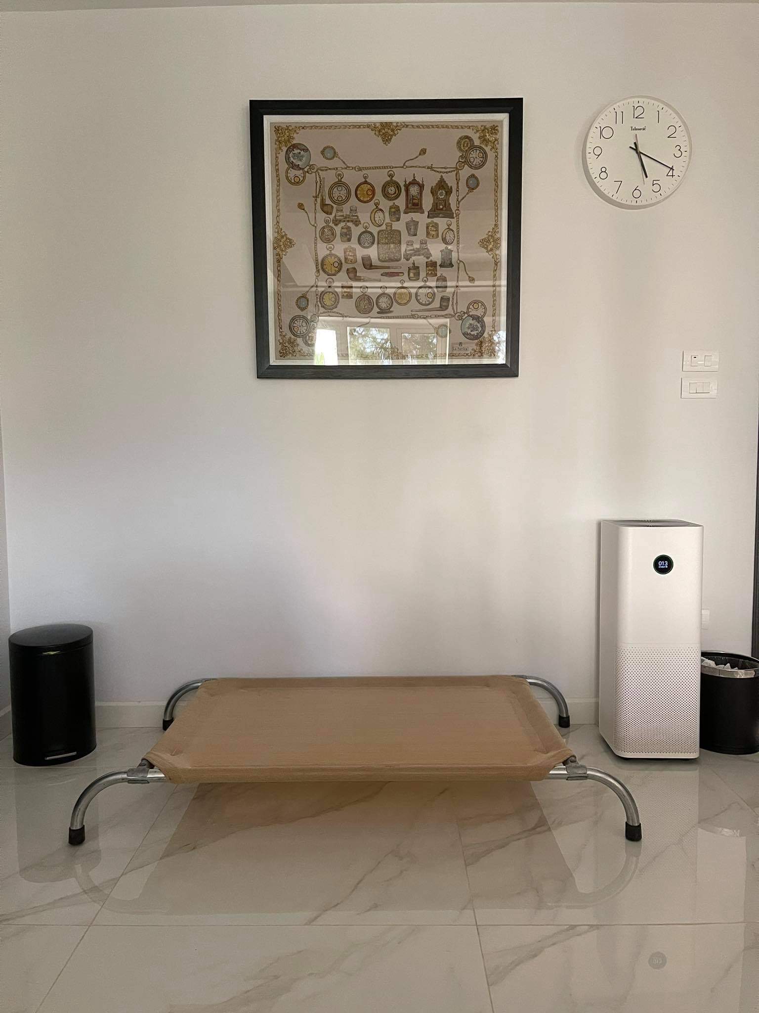 Giường chó, giường thú cưng