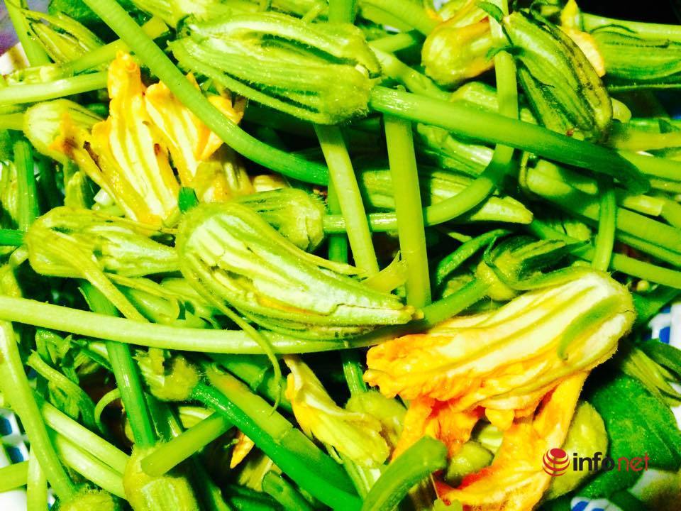 HẠT BÍ NGỌN ĂN BÔNG - GÓI 10 GRAM