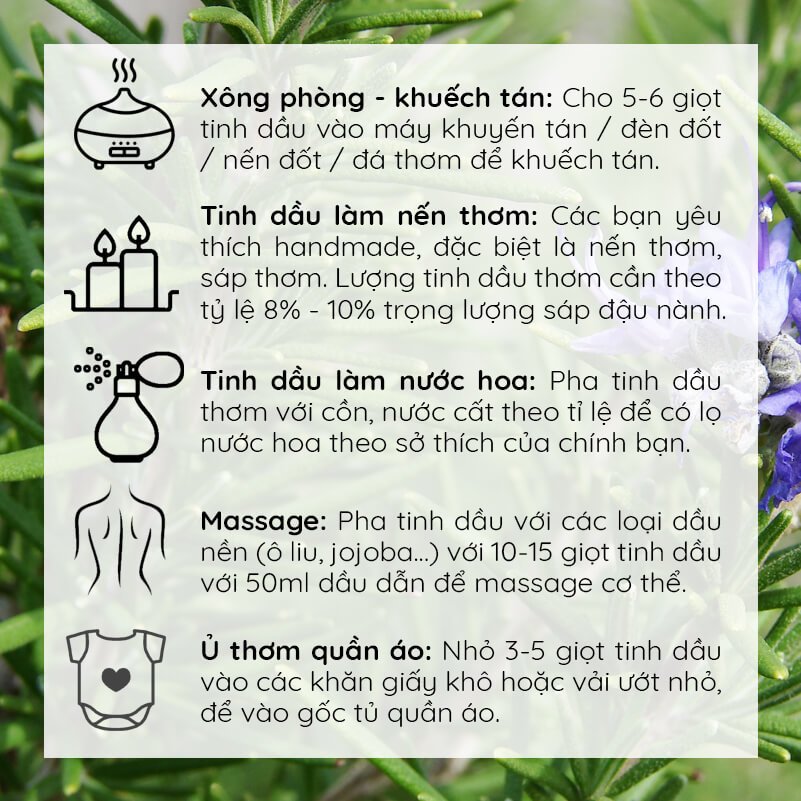 Tinh Dầu Tràm Trà Nguyên Chất Nomad Tea Tree Oils
