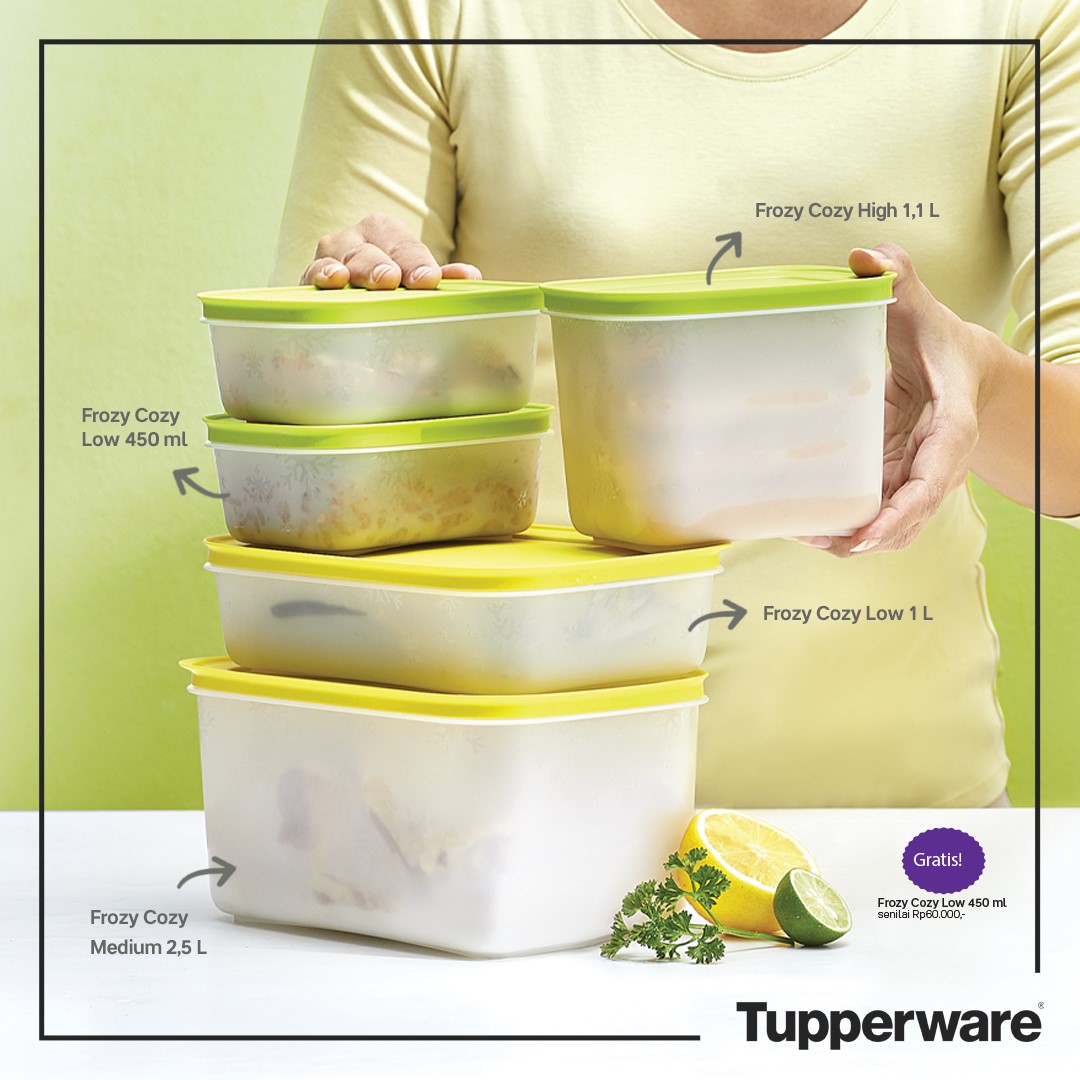 Bộ trữ đông Frozy Cozy Gen II Tupperware