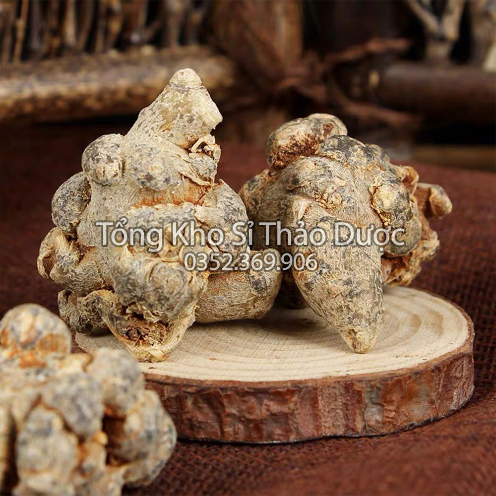 Củ tam thất bắc 100g (Hàng loại 1, 5 củ/lạng, khô, sạch)