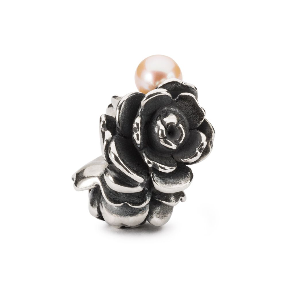 Trollbeads Kiềng tay bạc cao cấp và Compassion Rose