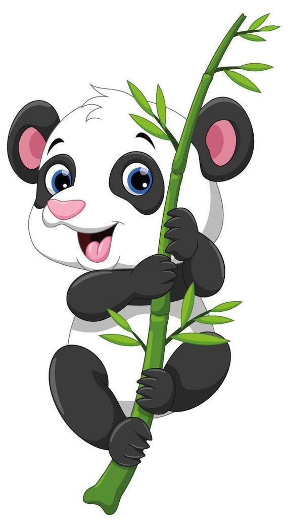 TEM GẤU TRÚC 1 ĐÔI