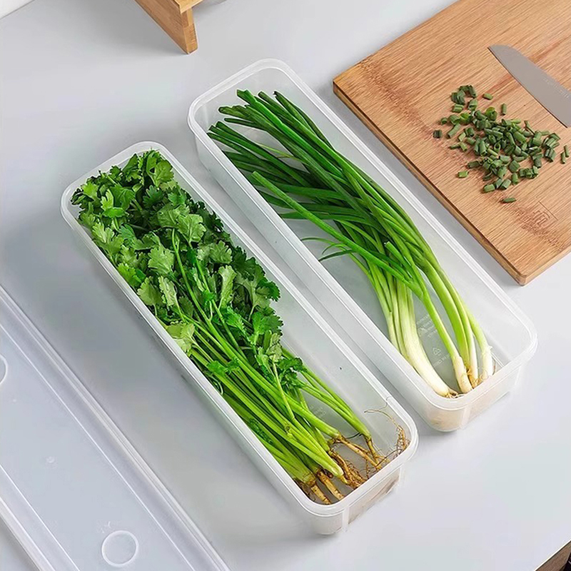 Noodle Storage Box Plastic Spaghetti Preservation Box Food Holder Fresh ...