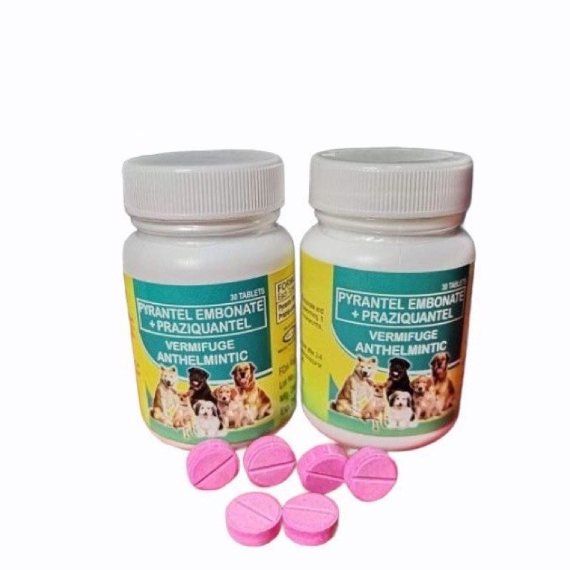 Pyrantel Pet Dewormer for Adult Dogs per Bottle Lazada PH