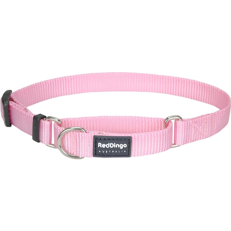red dingo martingale collar