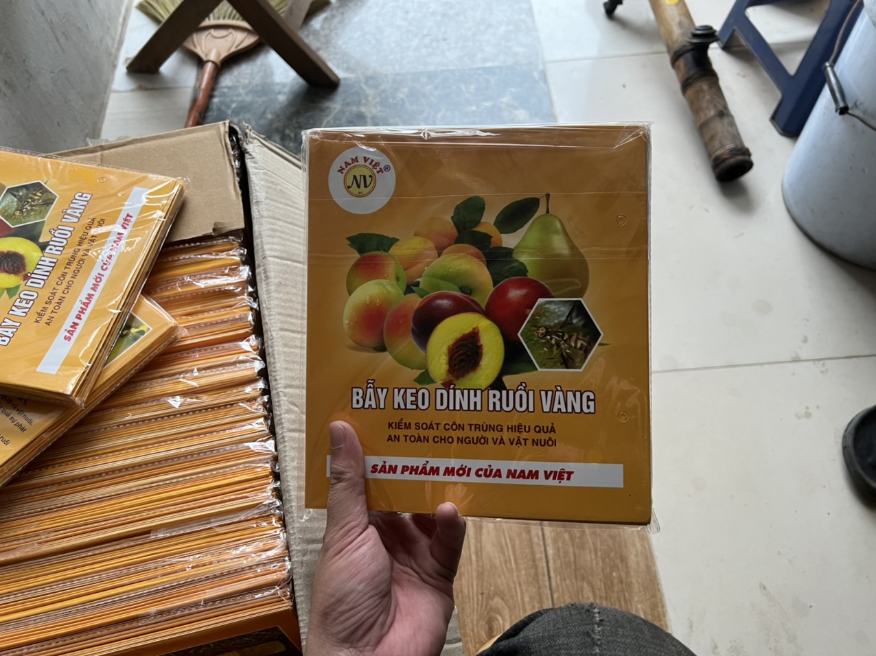 COMBO 10 MIẾNG DÁN BẪY RUỒI VÀNG