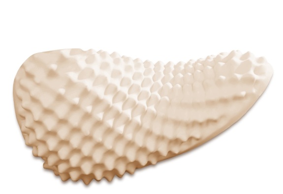 GỐI CAO SU CONVOLUTED PEANUT 35X55
