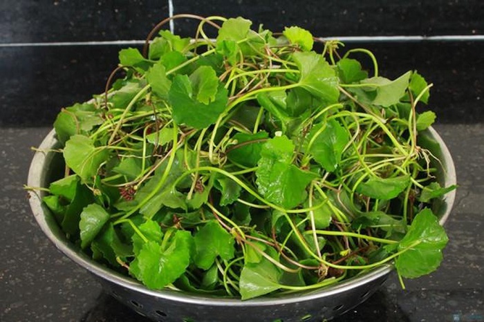 Hạt giống rau má 1g