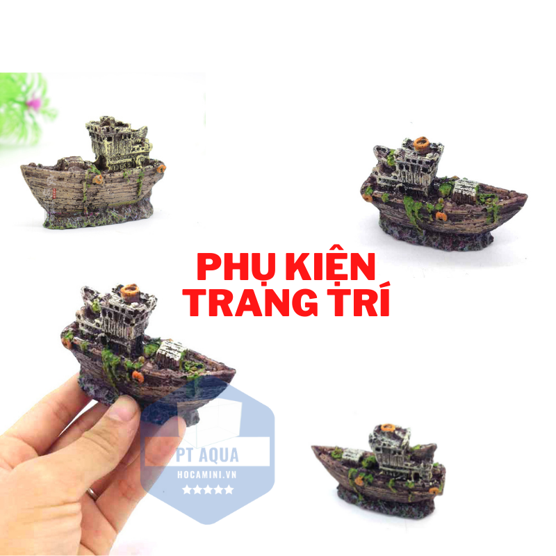 Phụ kiện trang trí hồ cá mini