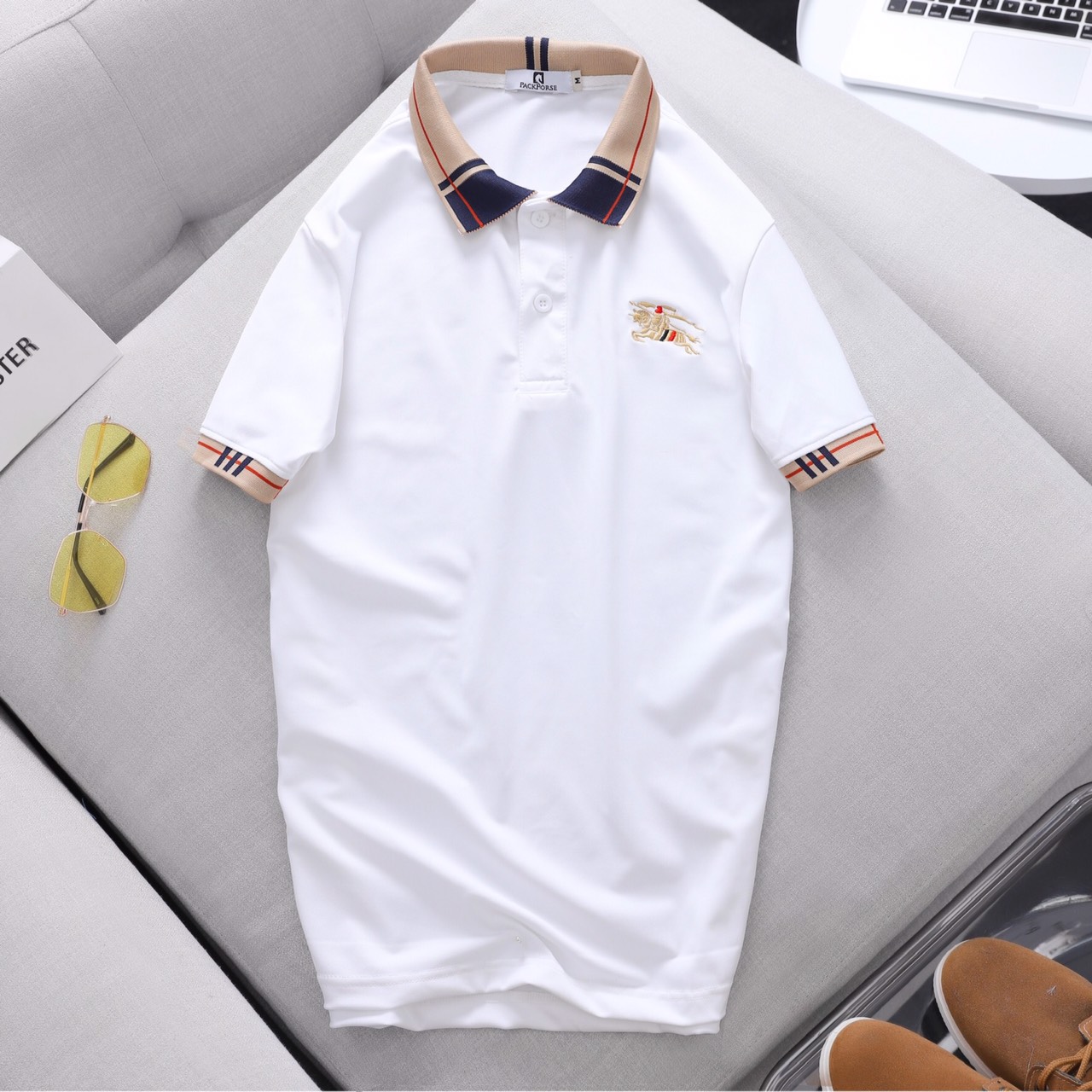 Áo thun nam Polo phối bâu sang trọng ASTD140
