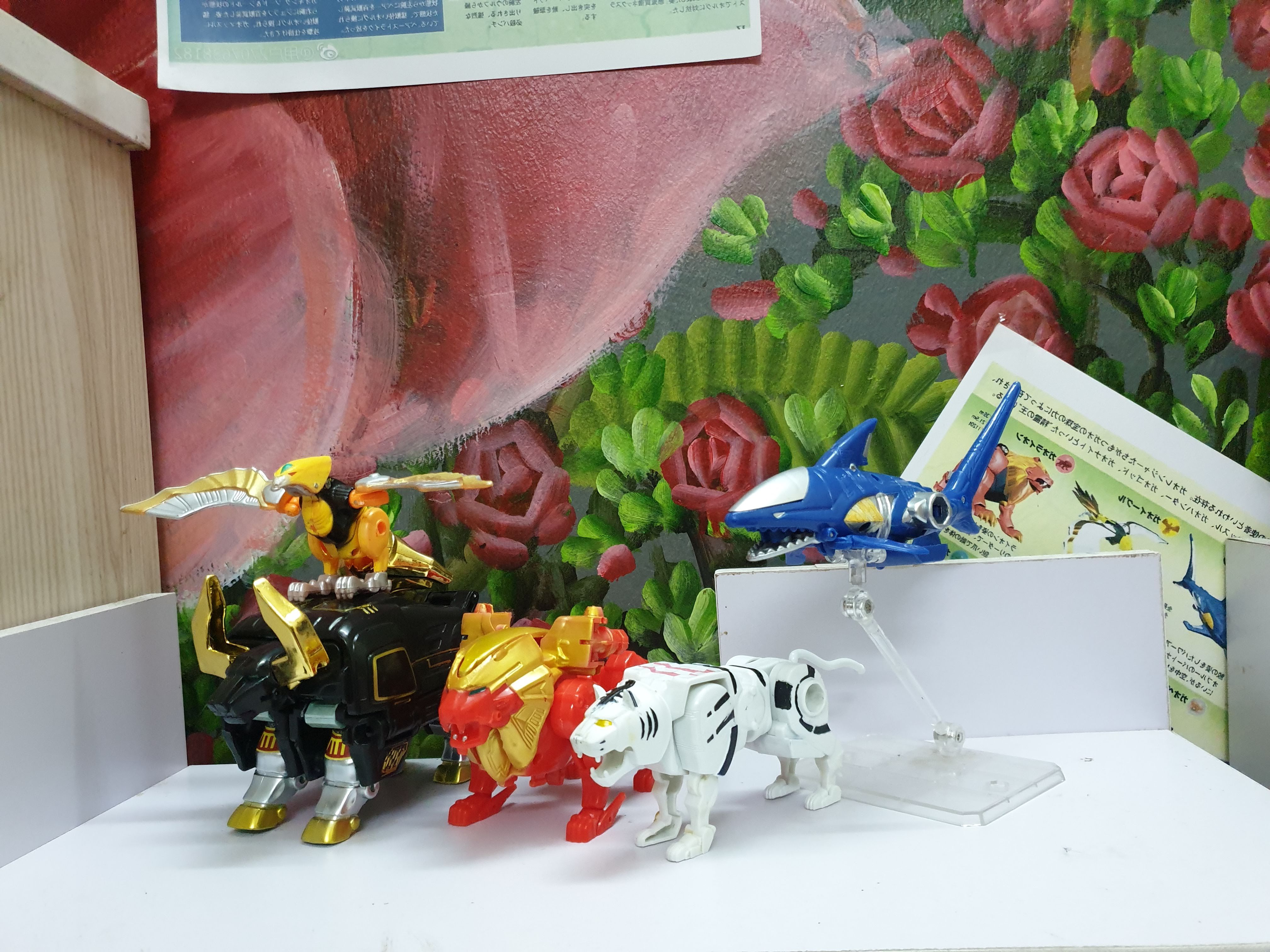 Gao Sư Tử - China