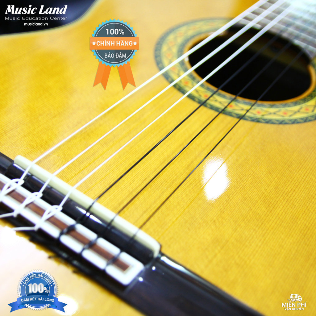 Dây Đàn Guitar Classic D'Addario EJ49 - Chính Hãng