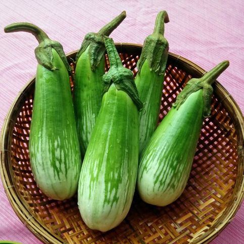 0.5gram hạt giống cà phổi sọc lem