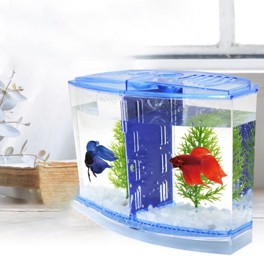 Practical Transparent Betta Fish Single/Double Grid with Water Grass ...