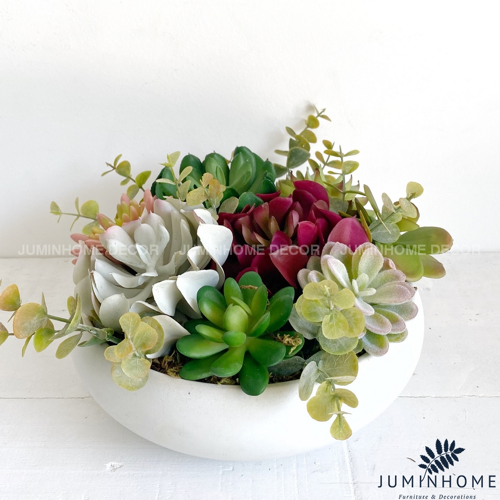 Cây giả Decor - Chậu sen đá bát Decor Trang trí để bàn